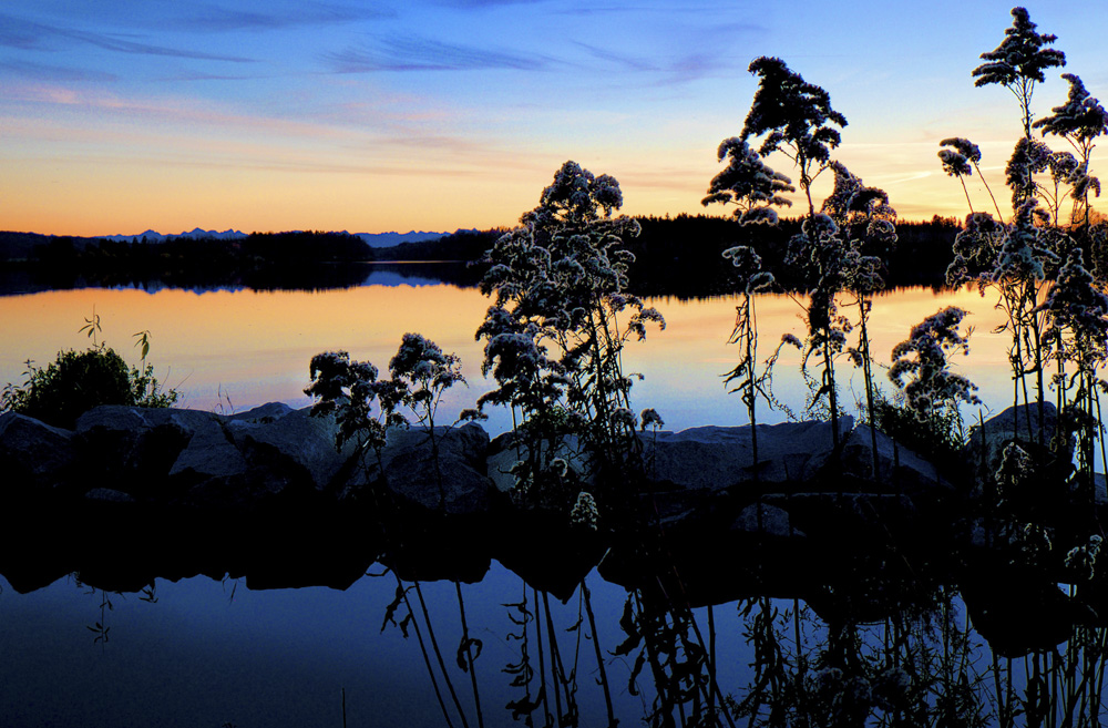 8. Platz Peter Marion